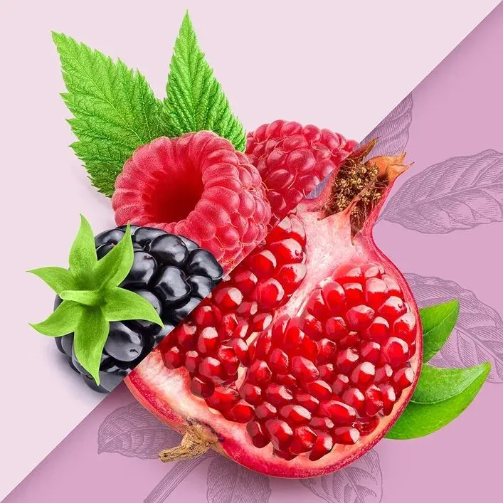 Yerbe Mate Adaptogen Infused " Wild Berry Pomegranate"  12 Ct cans/ 16 oz 