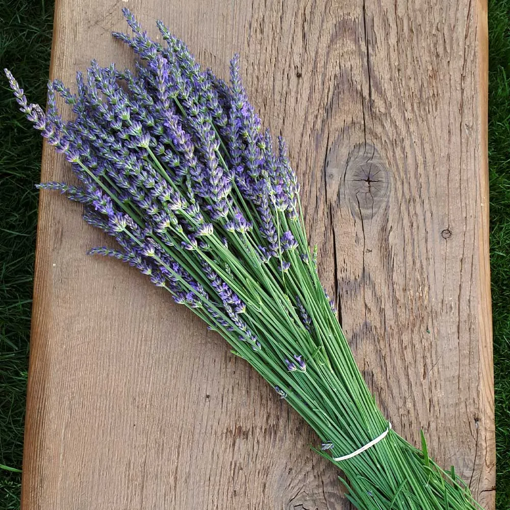 Tea with the Bees - Organic Lavender Chamomile .4 oz
