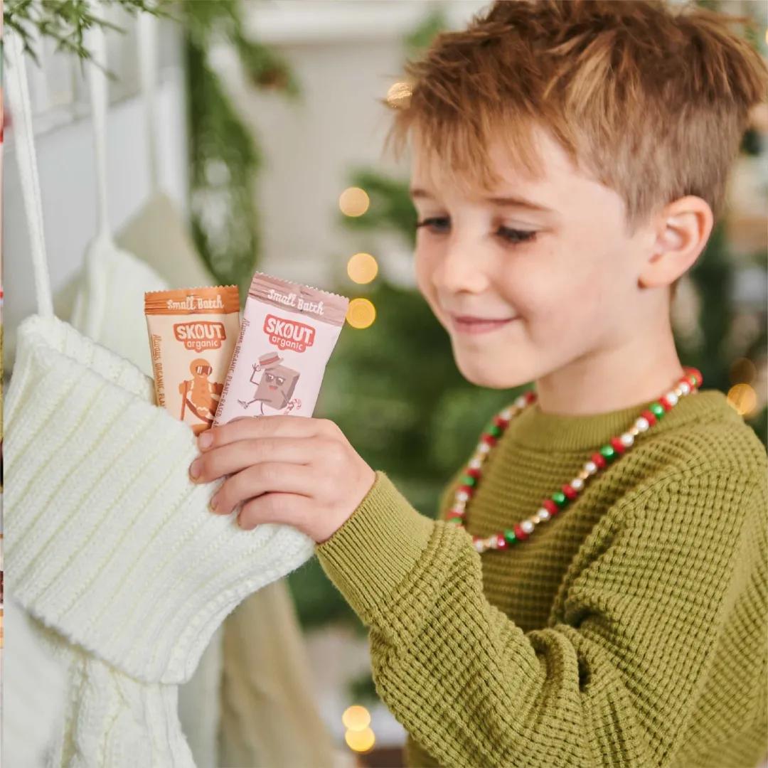 Skout Organic Peppermint Brownie Kids Snack Bar - Seasonal!