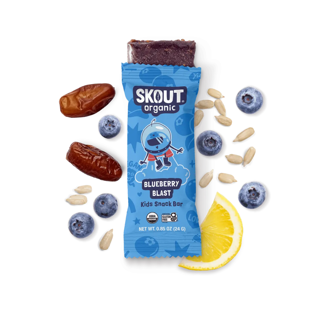 Skout Organic Blueberry Blast Kids Snack Bar