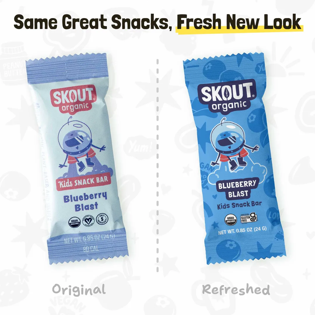 Skout Organic Blueberry Blast Kids Snack Bar