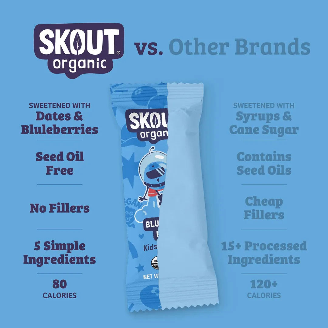 Skout Organic Blueberry Blast Kids Snack Bar