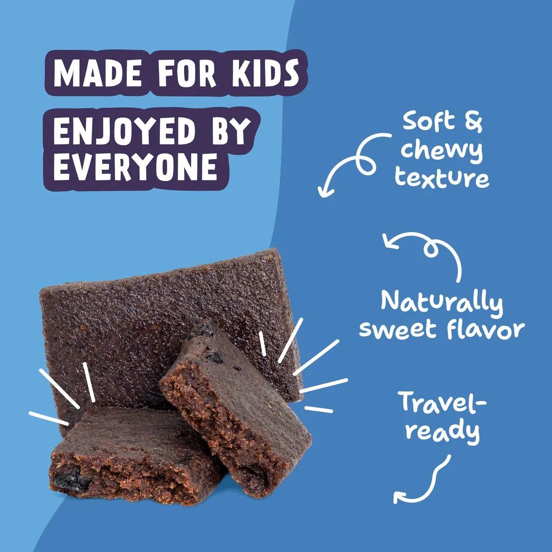 Skout Organic Blueberry Blast Kids Snack Bar