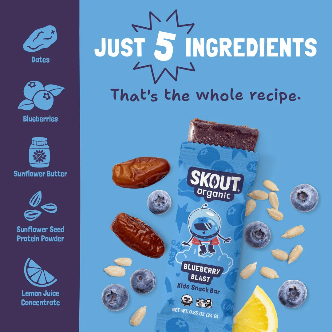 Skout Organic Blueberry Blast Kids Snack Bar