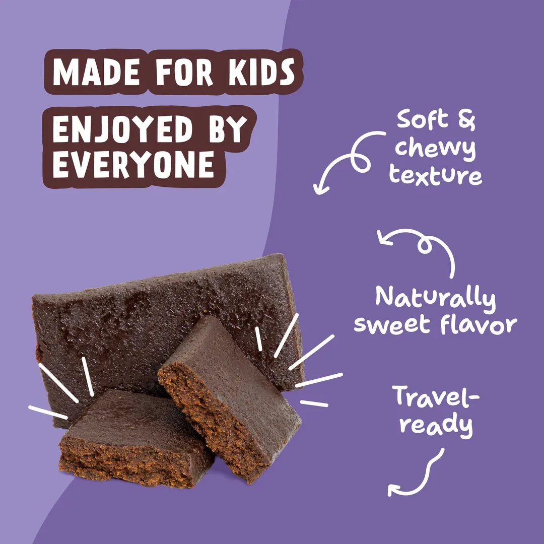 Skout Organic Chocolate Brownie Kids Snack Bar