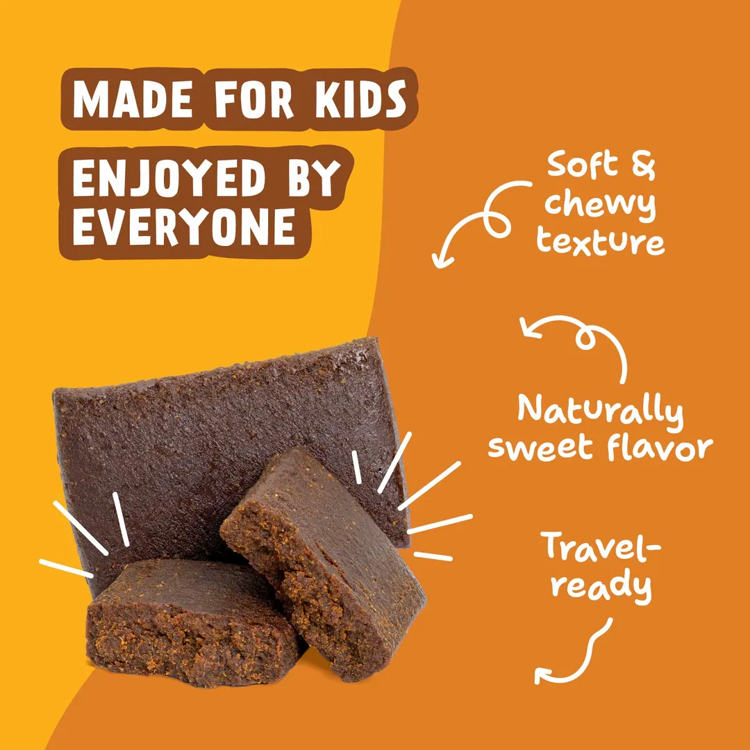 Skout Organic Chocolate Peanut Butter Kids Snack Bar