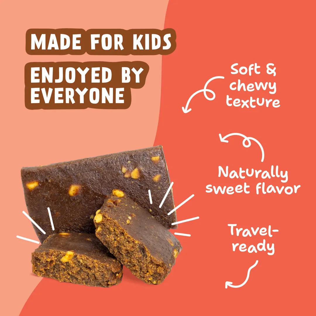 Skout Organic Peanut Butter and Jelly Kids Snack Bar