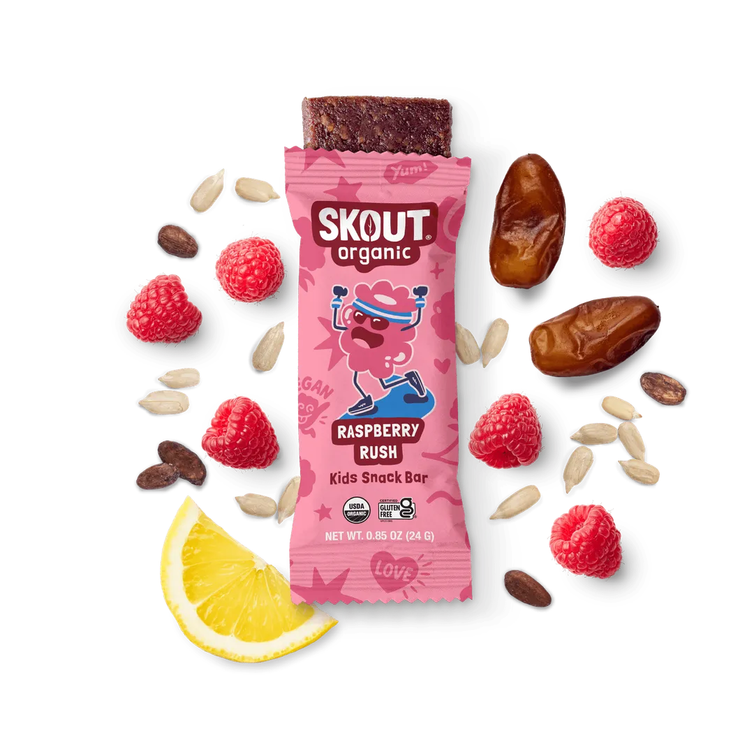 Skout Organic Raspberry Rush Kids Snack Bar