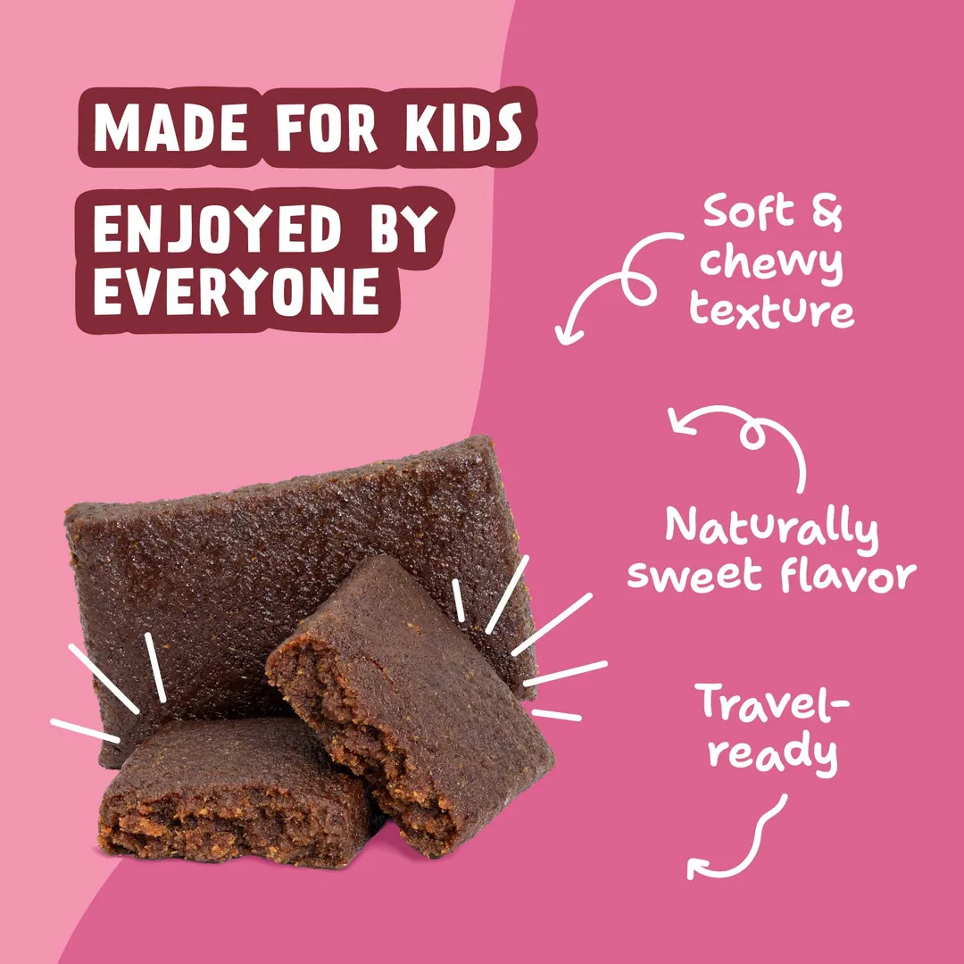 Skout Organic Raspberry Rush Kids Snack Bar