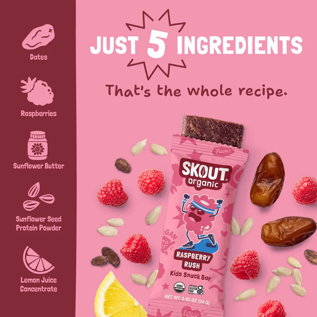 Skout Organic Raspberry Rush Kids Snack Bar