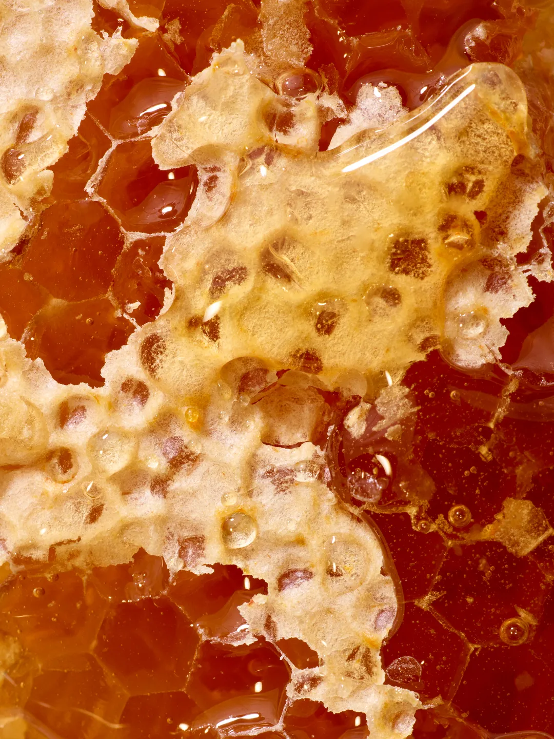 Wildflower Honey
