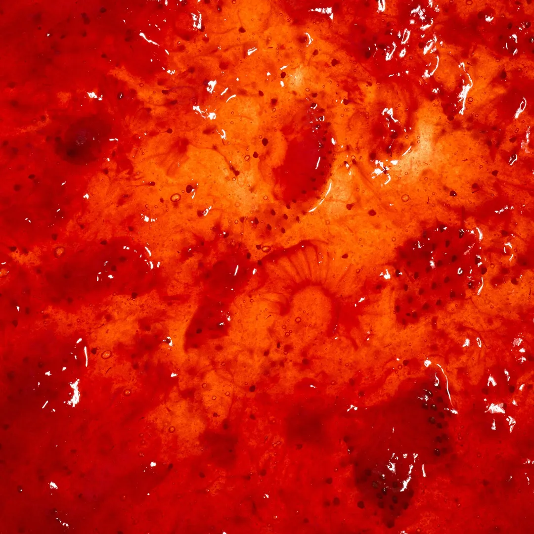 Strawberry Jam