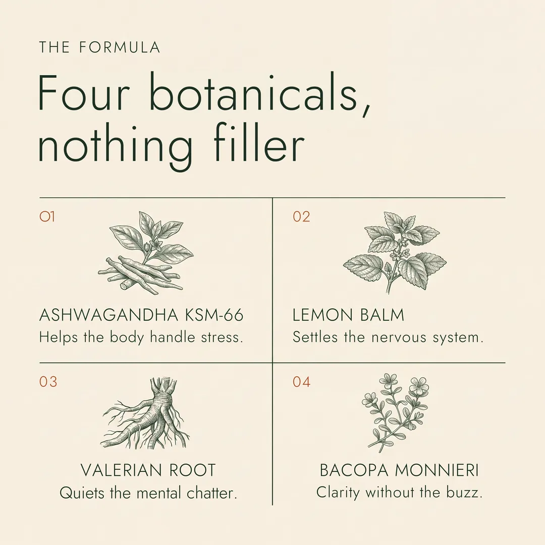 Unwind Elixir: Botanicals, Adaptogens & Plant-Based Rest
