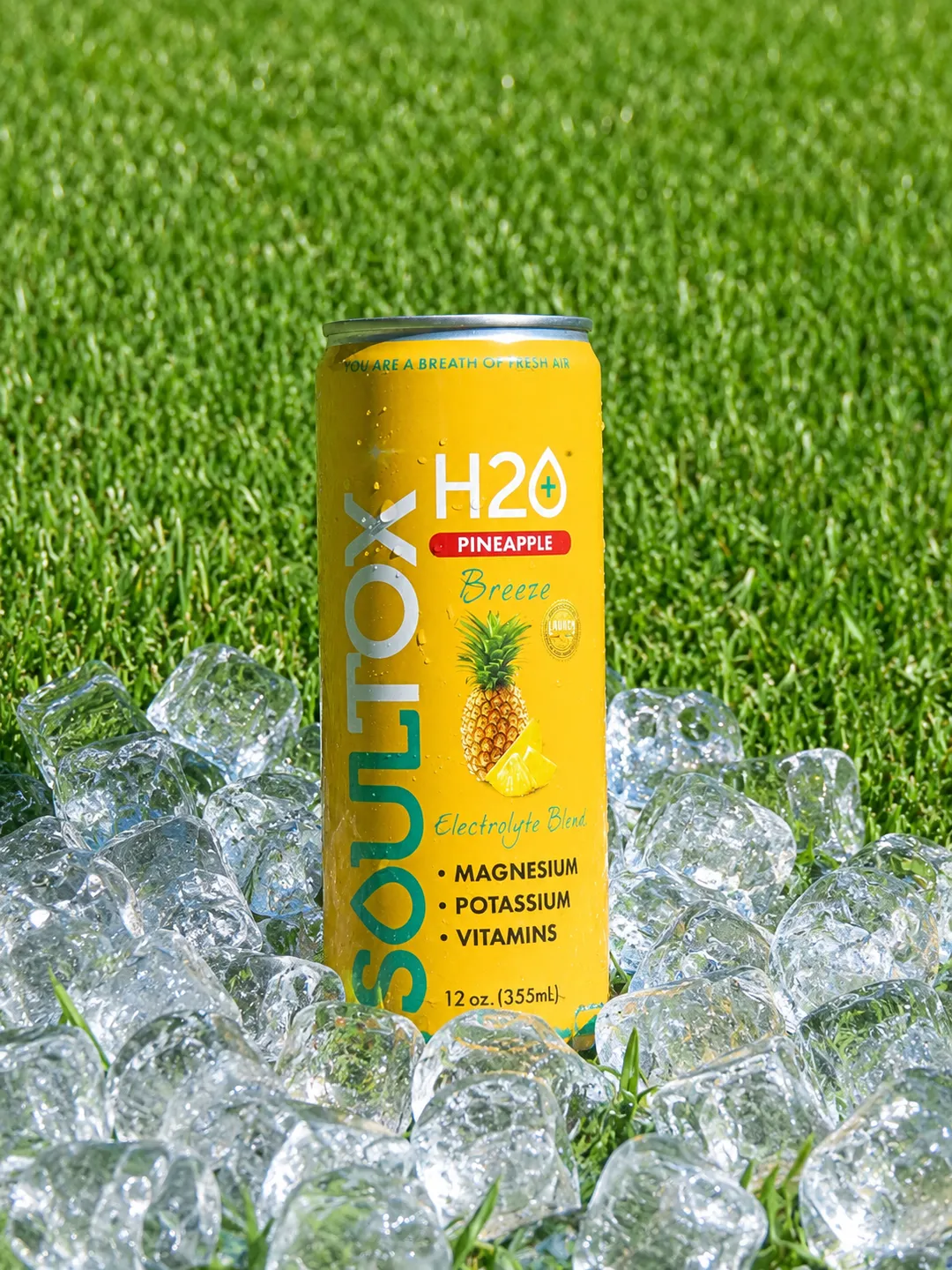 SOULTOX Fruit Electrolyte Beverage – Pineapple Breeze