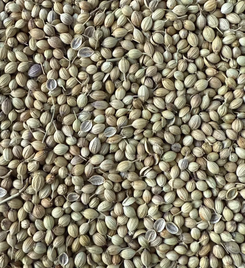 Single Origin Coriander