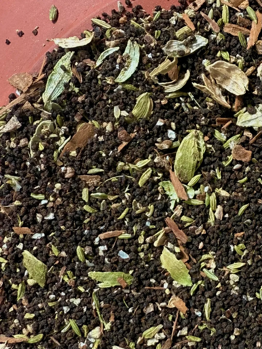 Masala Chai