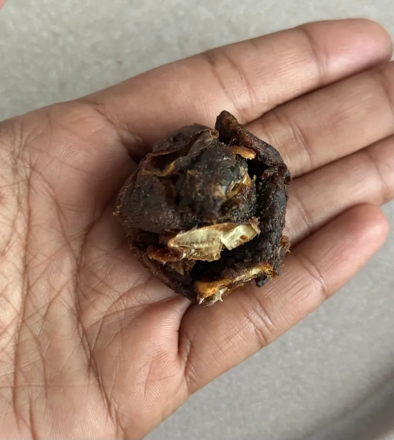 Single Origin Foraged Tamarind
