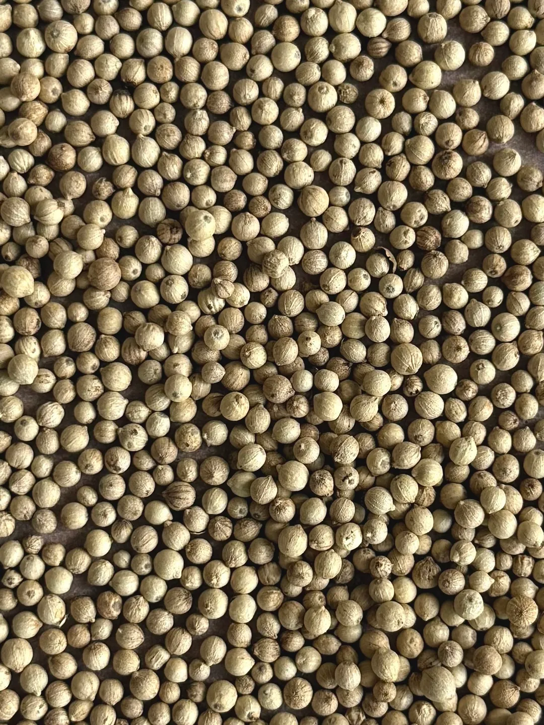 Single Origin White Pepper