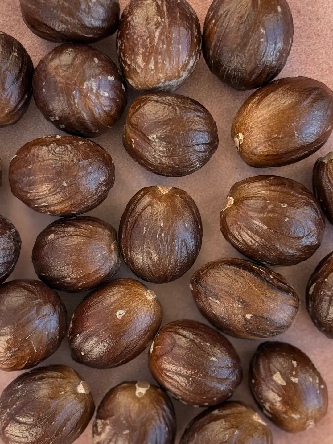 Single Origin Karnataka Nutmeg 