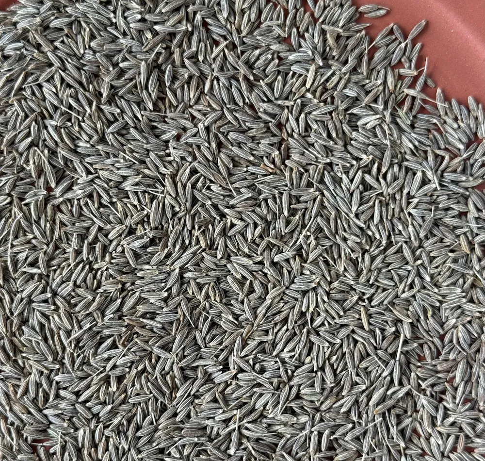 Single Origin Cumin
