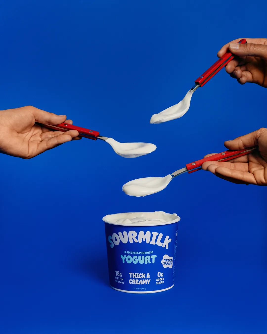 Sourmilk Plain Probiotic Greek Yogurt (24oz family size)