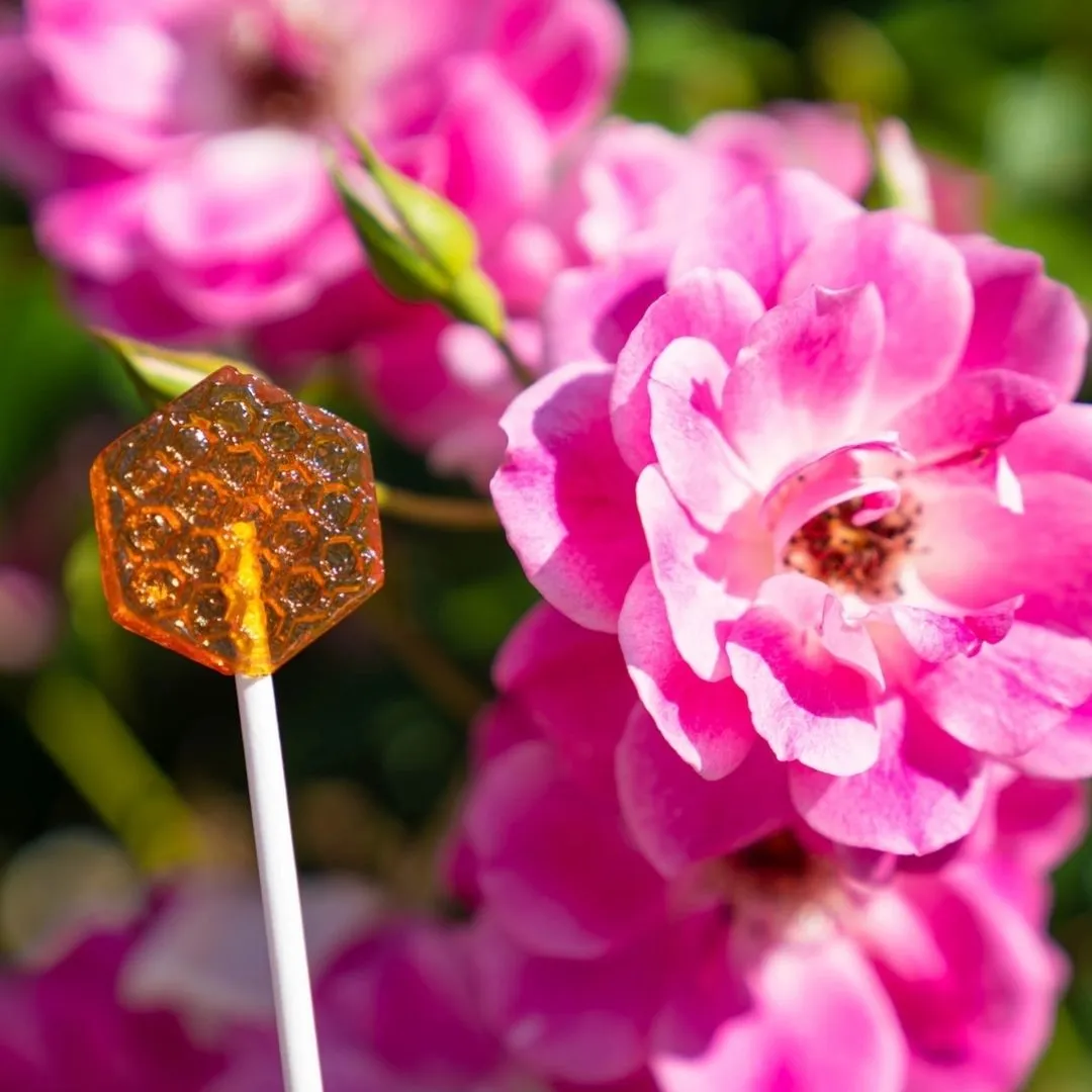 Honeycomb Lollipops - 1.25"