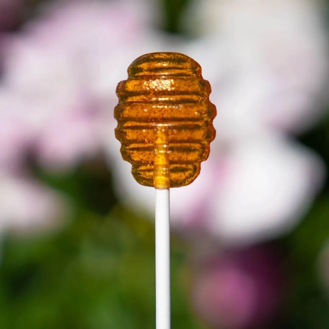Honey Dipper Lollipops - 1.5"