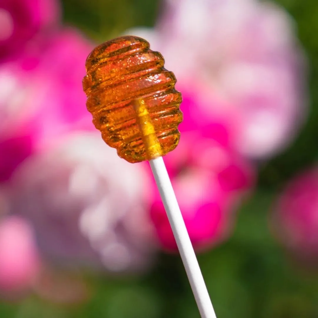 Honey Dipper Lollipops - 1.5"