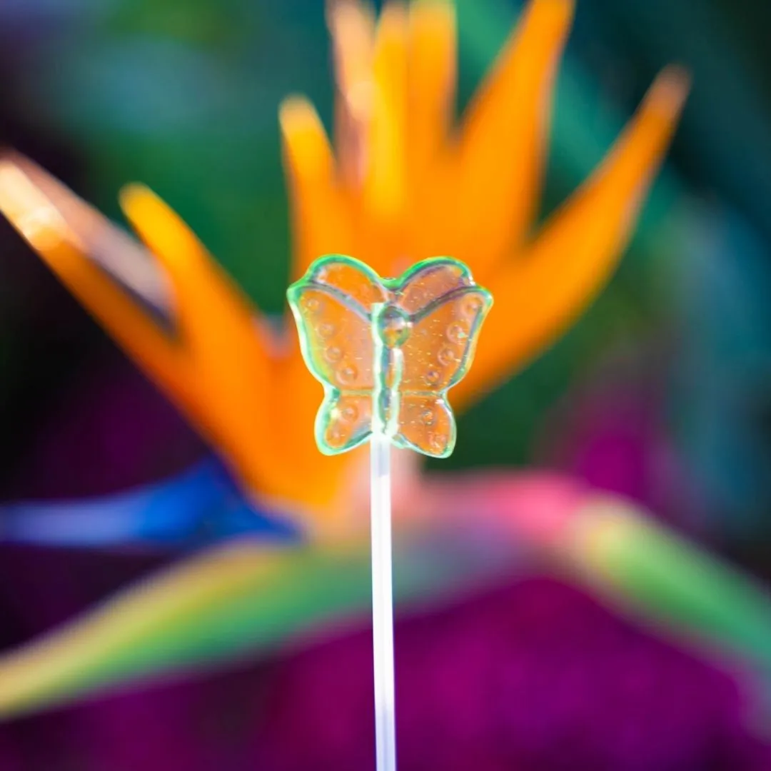 Twinkle Pops Butterfly Long-Stem Lollipops (Purple)
