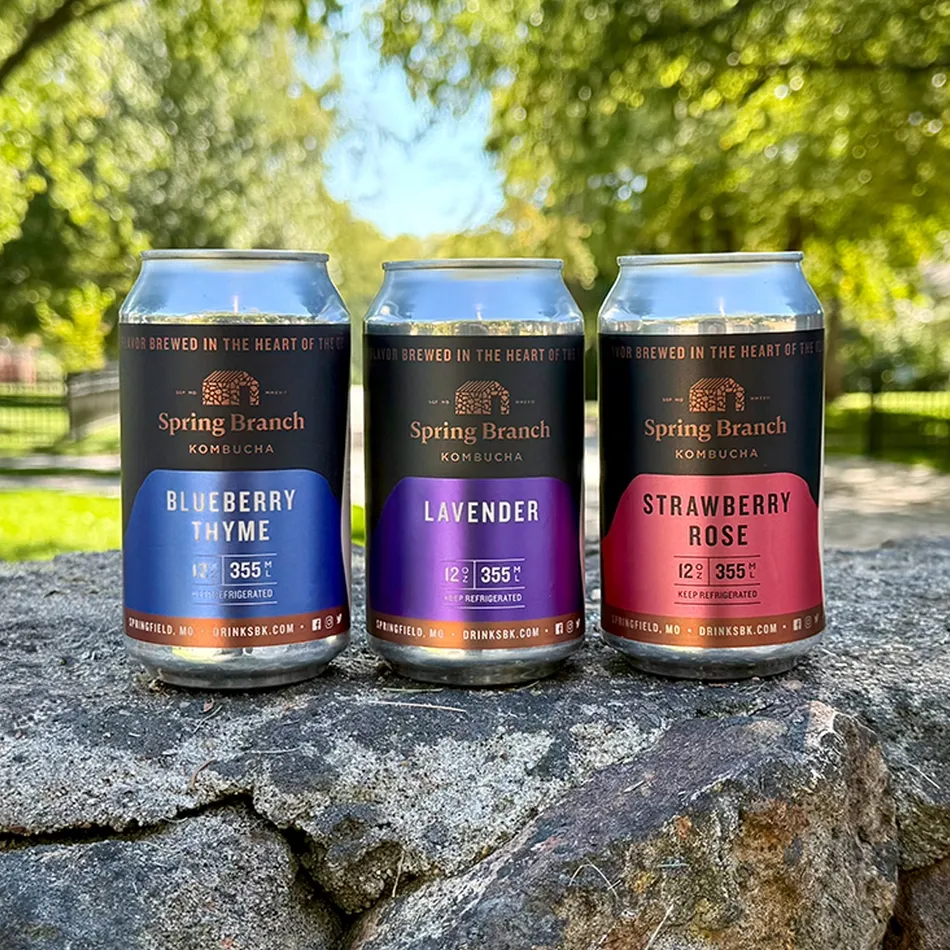 Zen Trio Kombucha Variety 12-Pack