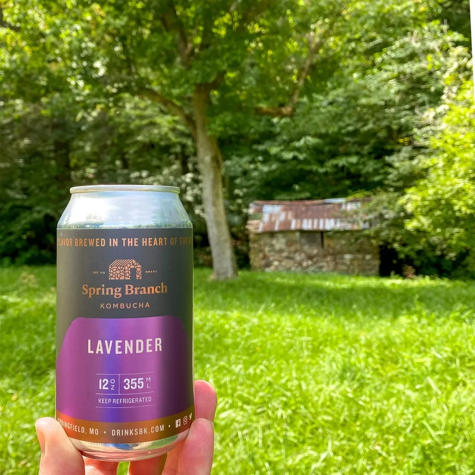 Zen Trio Kombucha Variety 12-Pack