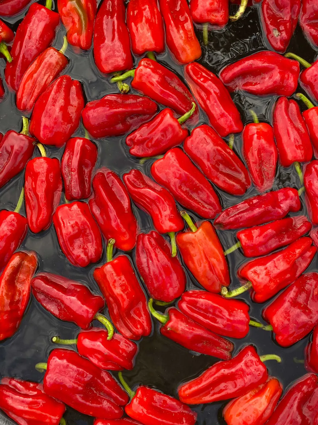 Aji Peach Hot Sauce - 6pk