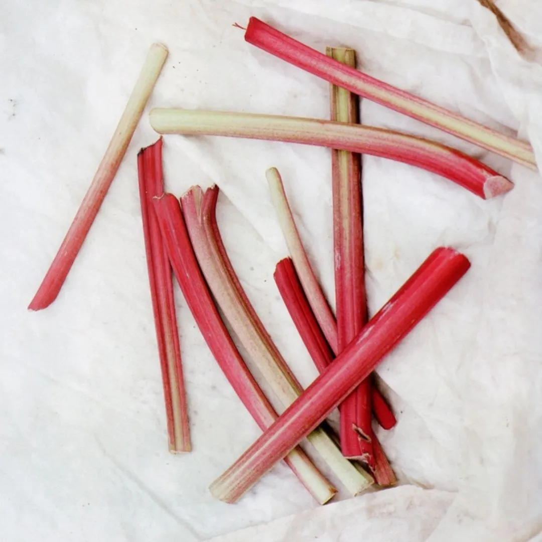 Blueberry Rhubarb