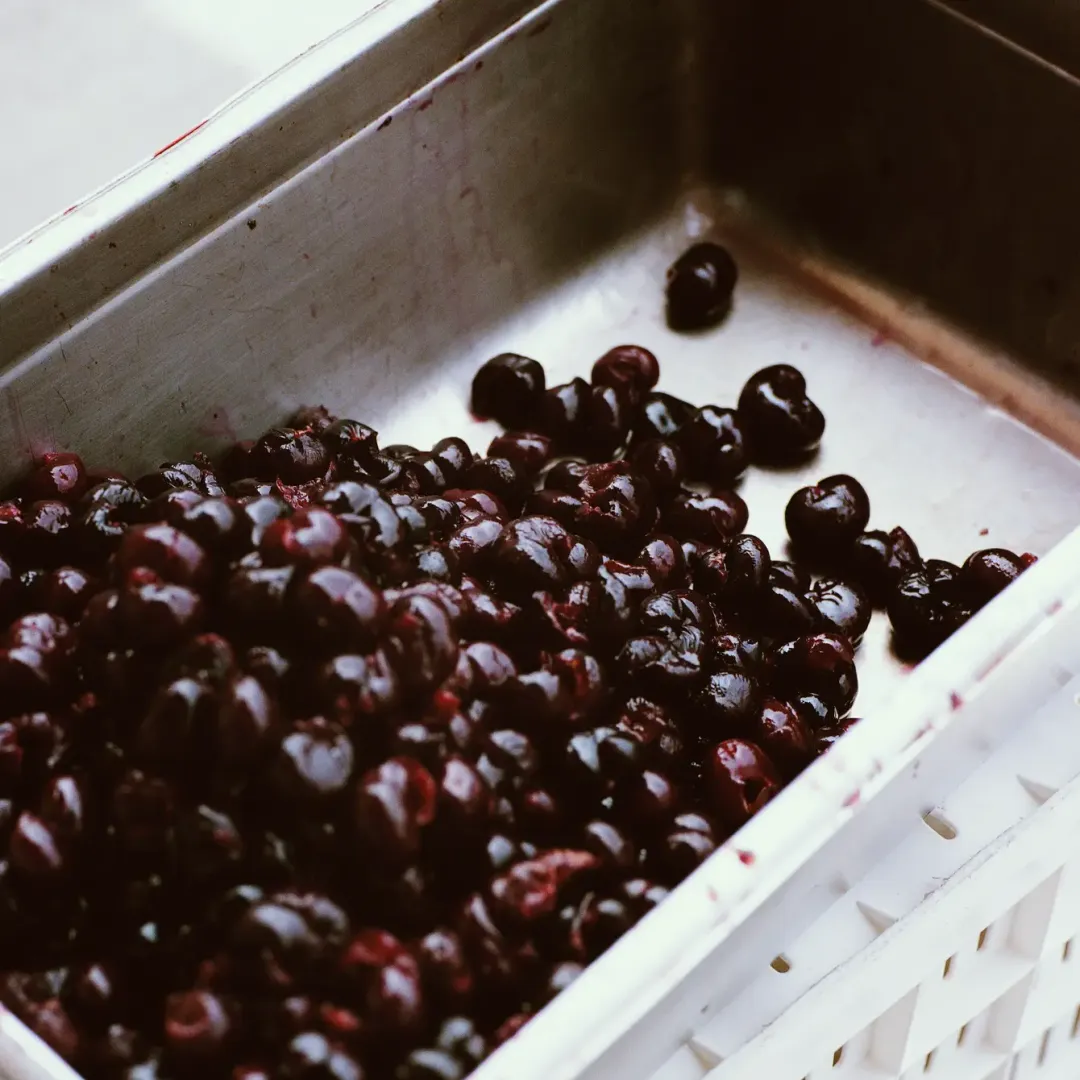 Certified Organic Brooks Cherry Fruit Spread 