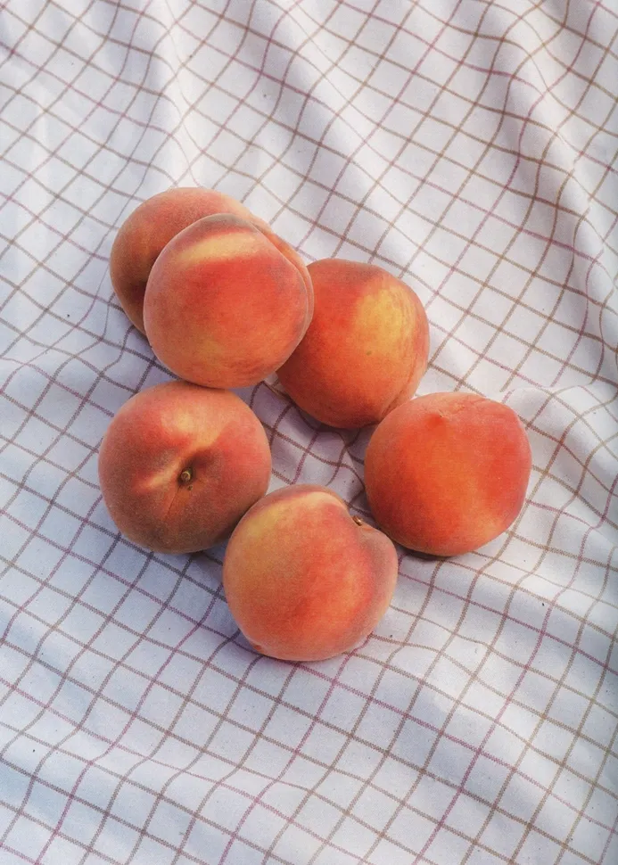 Certified Organic Sun Crest Peach Fruit Spread 