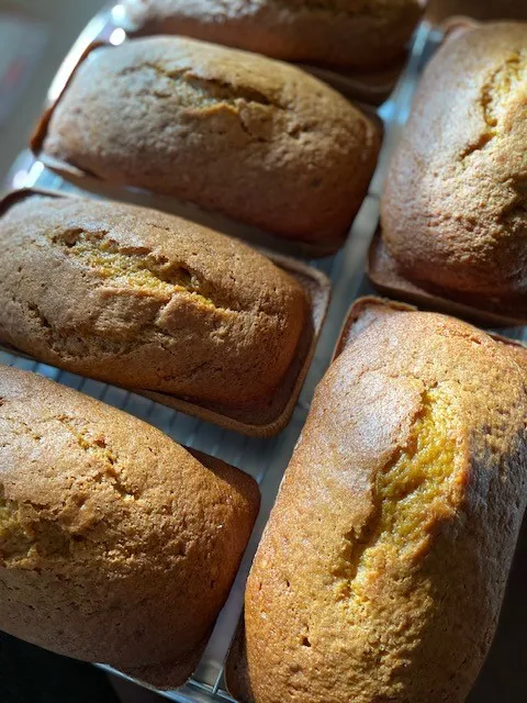 Pumpkn Bread