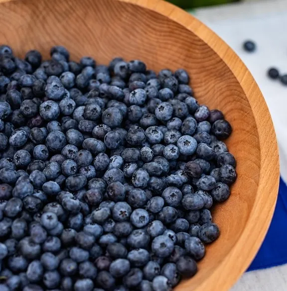 Cordial (Syrup) - Lavender Blueberry