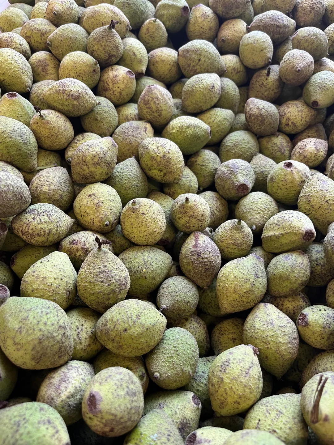 Cordial (Syrup) - Green Walnut