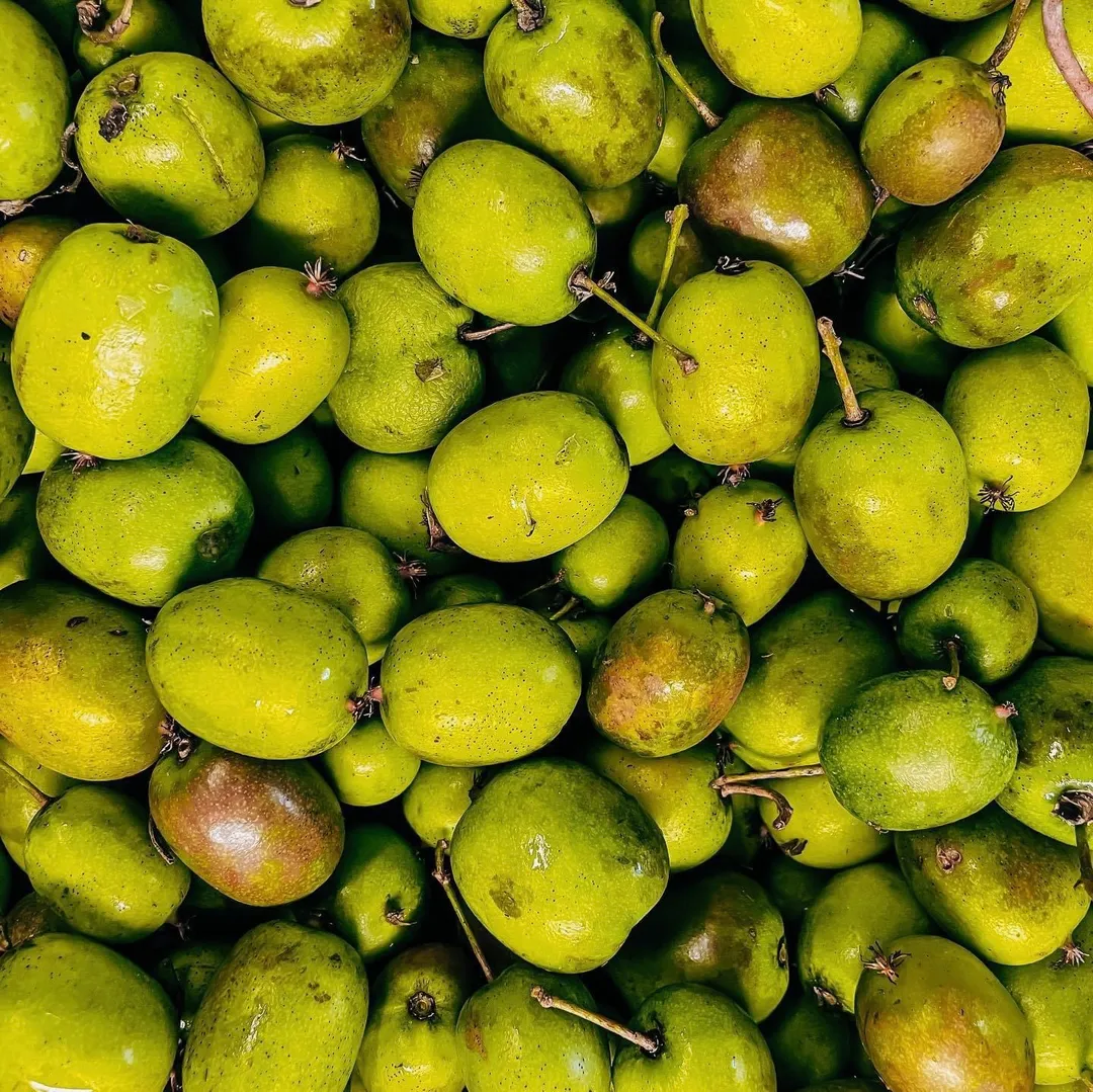Cordial (Syrup) - Kiwiberry