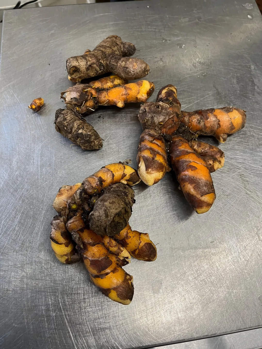 Cordial (Syrup) - Turmeric