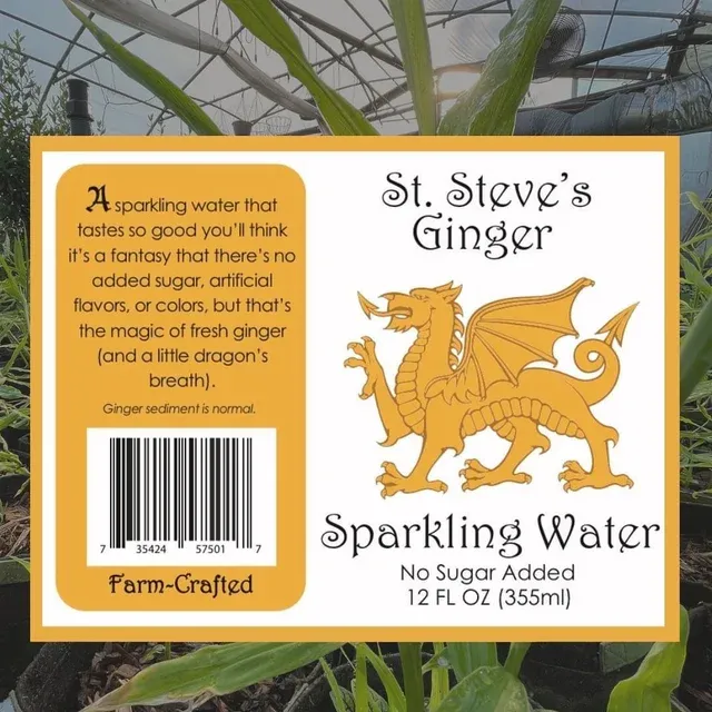 Sparkling Water - Ginger