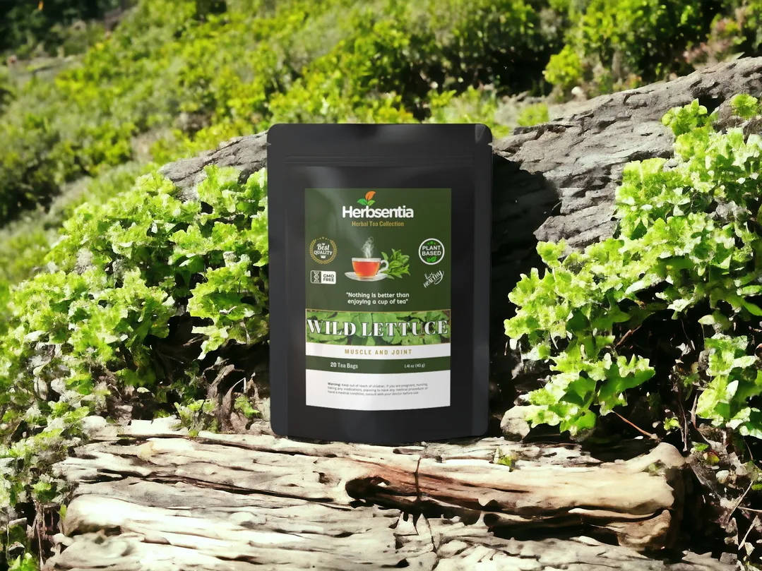 Wild Lettuce Tea - Refreshing & Naturally Soothing