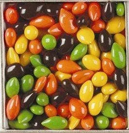 CLEARANCE - Jack-o-Lantern Sunny Seeds