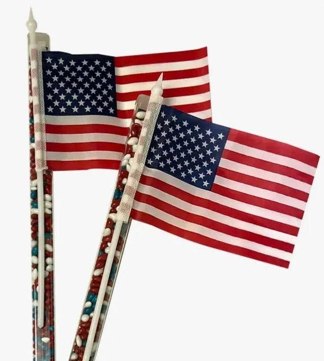Patriotic Flag Topper w/ Choc. Sunflower Seeds (NO DISPLAY)
