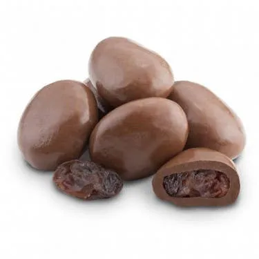 Pocketsnak- Milk Chocolate Raisins 6 oz. bag