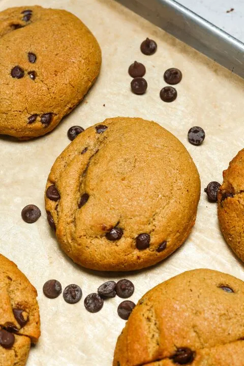 Protein Chocolate Chip Cookies