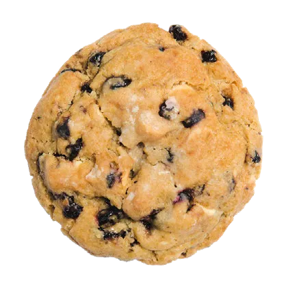 Gourmet BIG Lemon Blueberry White Chip Cookie