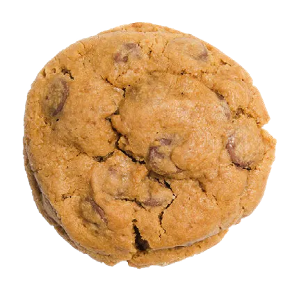 Gourmet BIG Peanut Butter Chocolate Chip Cookie