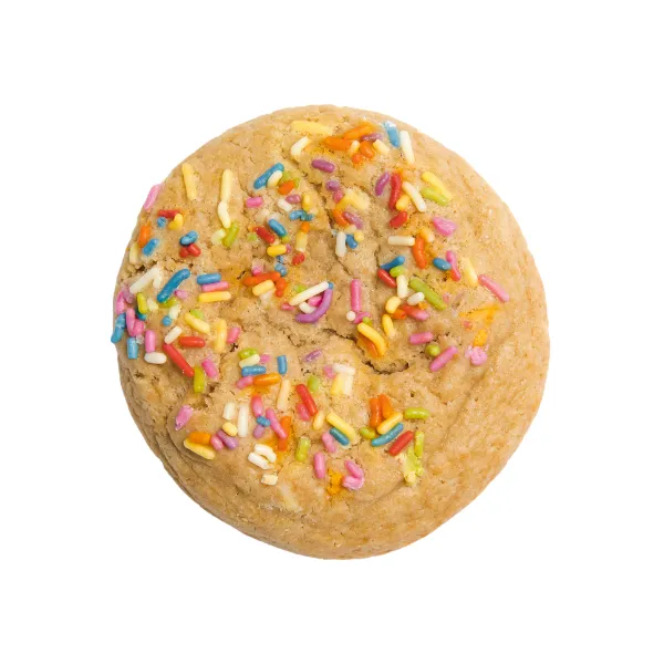 Gourmet BIG Rainbow Sprinkle Sugar Cookie