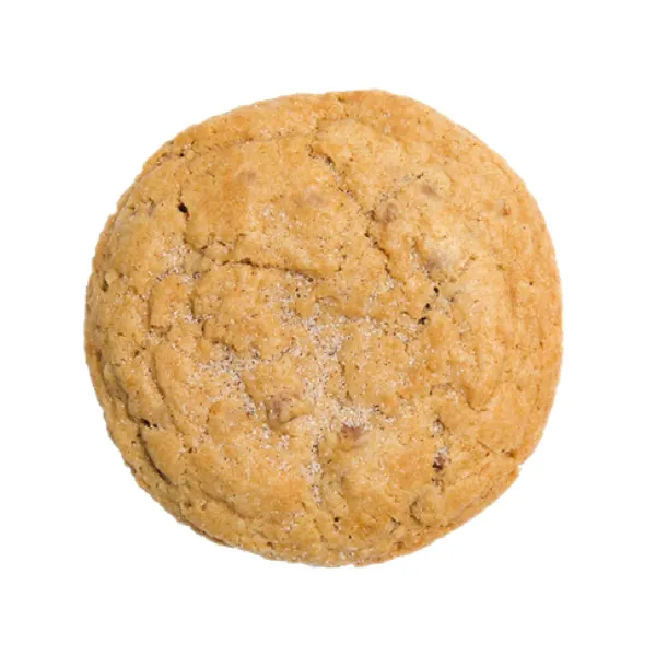 Gourmet BIG Snickerdoodle Cookie 